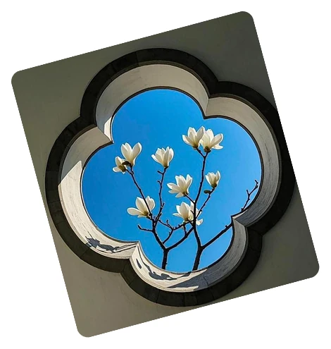 Jaipur Blue Floral Window